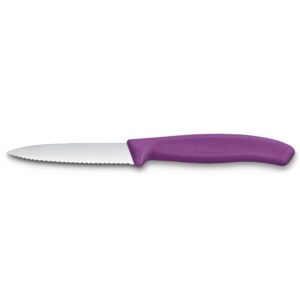 Victorinox SwissClassic Gemüsemesser Wellenschliff violett 8 cm